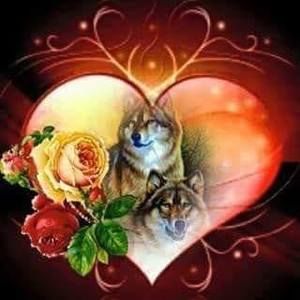 Meet your Posher, Angelena